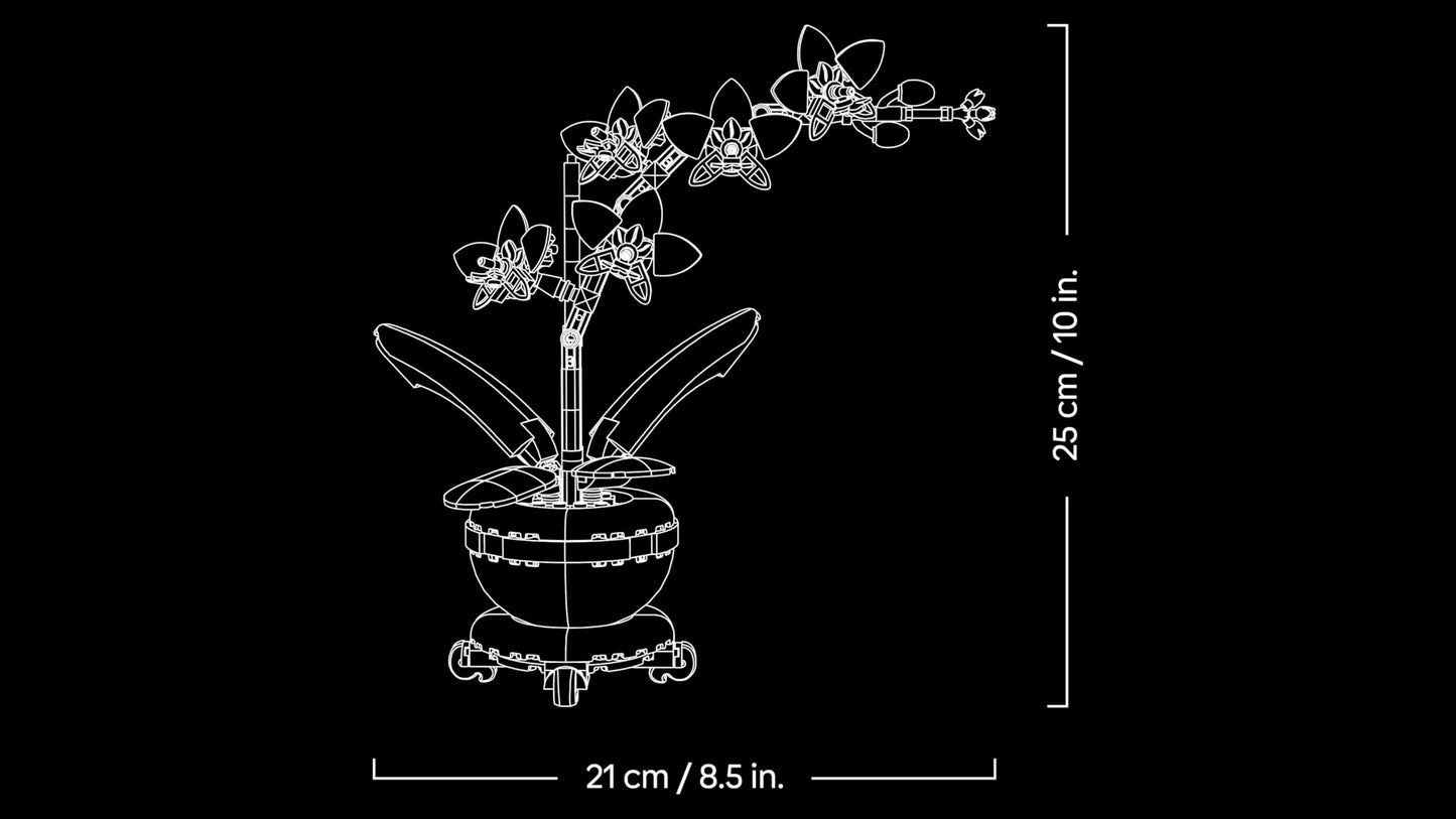 LEGO Botanicals Mini Orchid - Artificial Flowers Set for Adults - Indoor Plant with Terracotta Style Flowerpot - Home Decor Gift for Women and Men - 10343