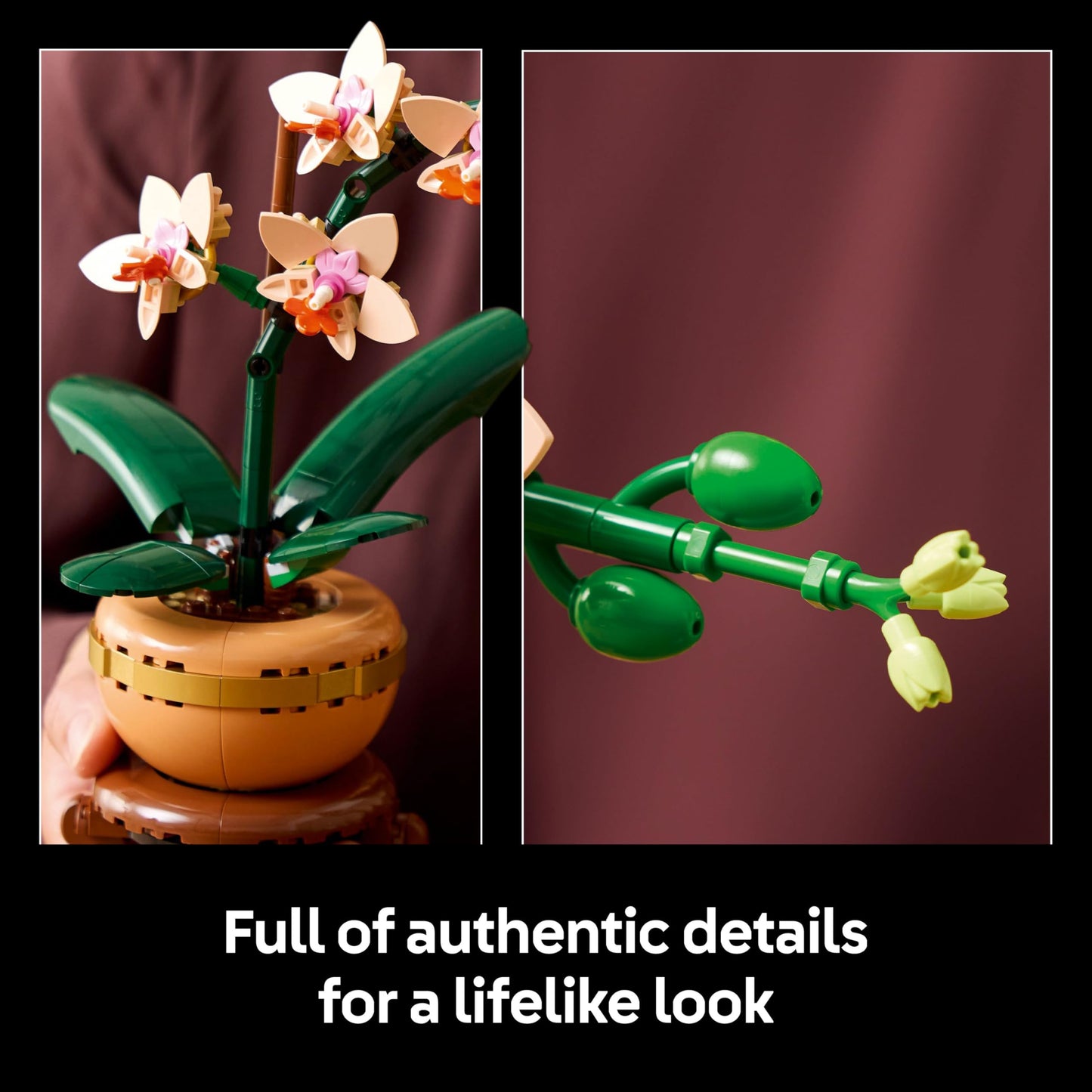 LEGO Botanicals Mini Orchid - Artificial Flowers Set for Adults - Indoor Plant with Terracotta Style Flowerpot - Home Decor Gift for Women and Men - 10343